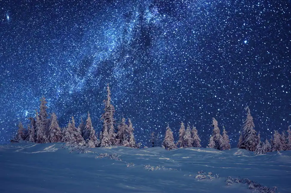 Neznámý: Zimní les a Mléčná dráha
