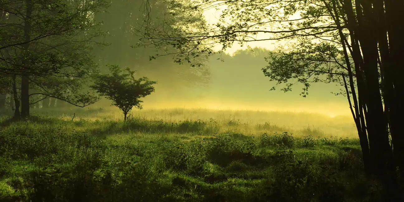 Unknown: Mystische Landschaft