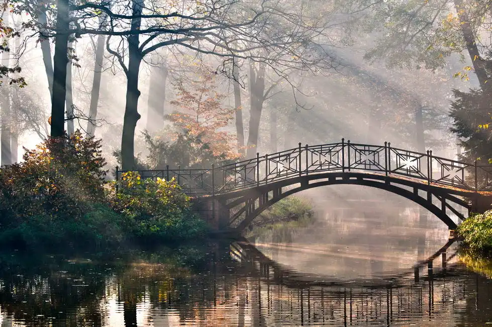 Neznámý: Starý most v podzimním parku