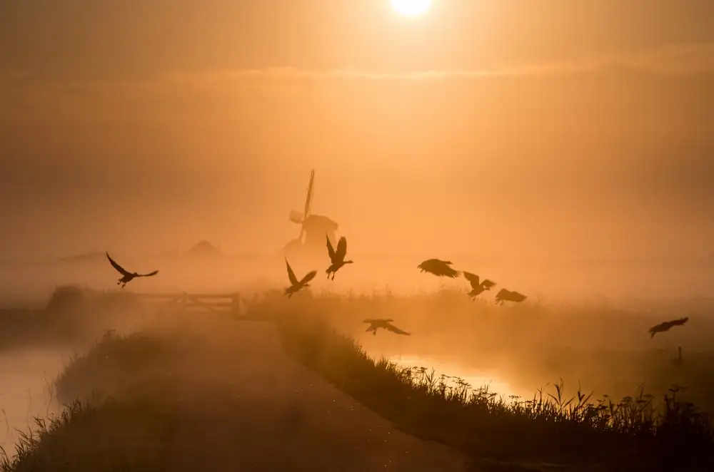 Klaverdijk, Harm: Sonnenaufgangsflug