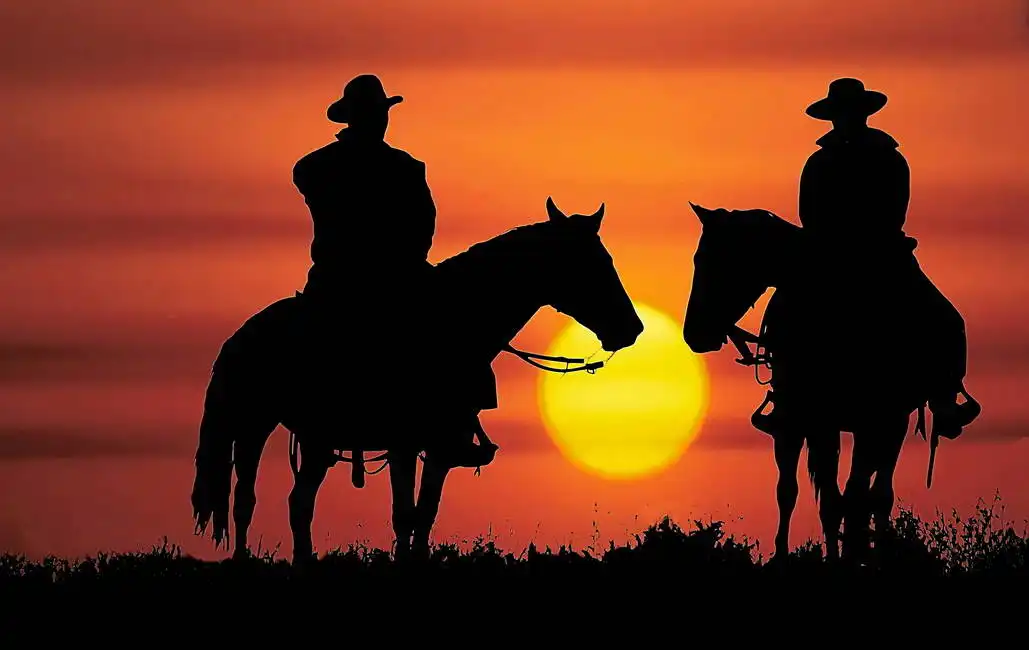 Neznámý: Kovbojové na koních