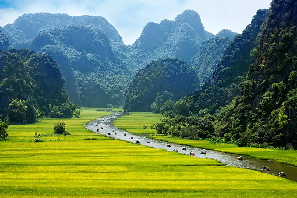 Neznámý: Rýžové pole, NinhBinh, Vietnam