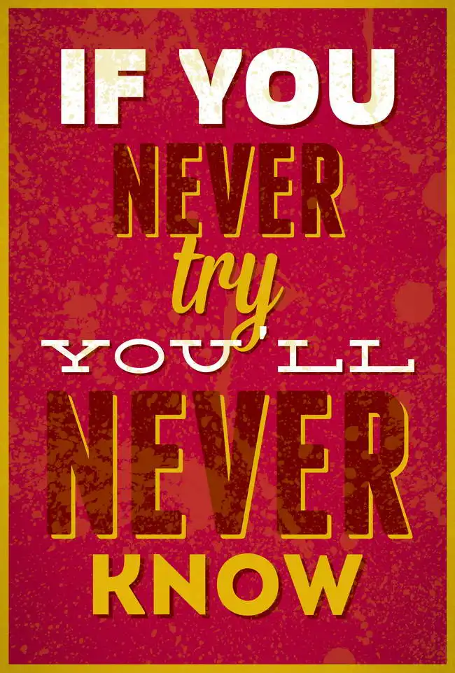 Neznámý: If you never try, you will never know