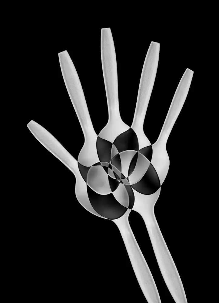 Hammer, Jacqueline: Cucchiai Abstract: raggi X