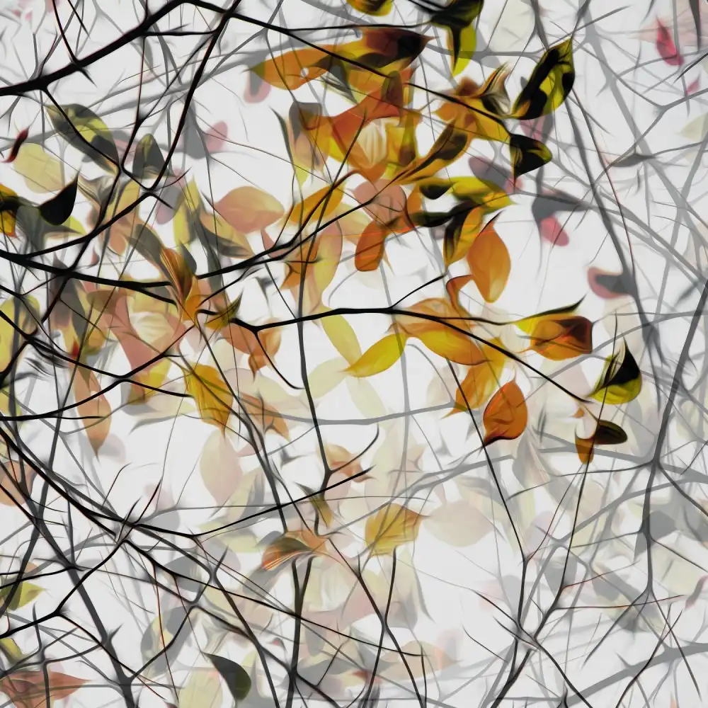 Claes, Gilbert: Herbstlied
