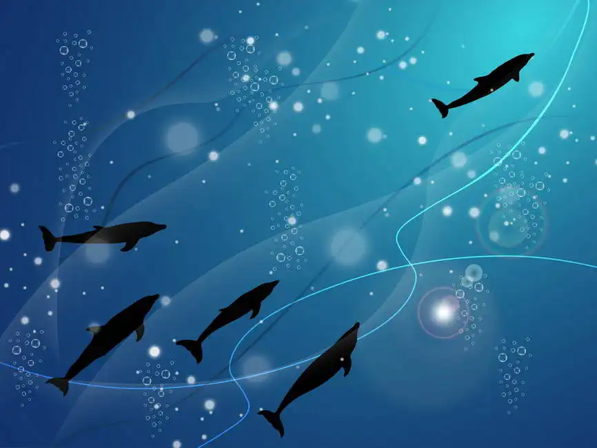Unknown: Silhouettes de dauphins