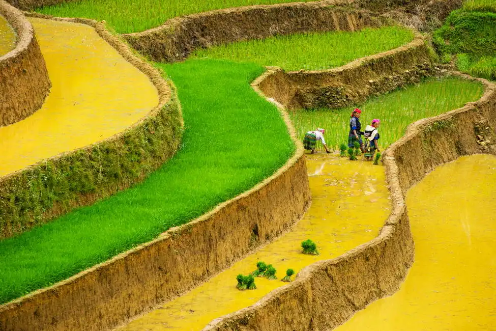 Neznámý: Mu Cang Chai, Vietnam