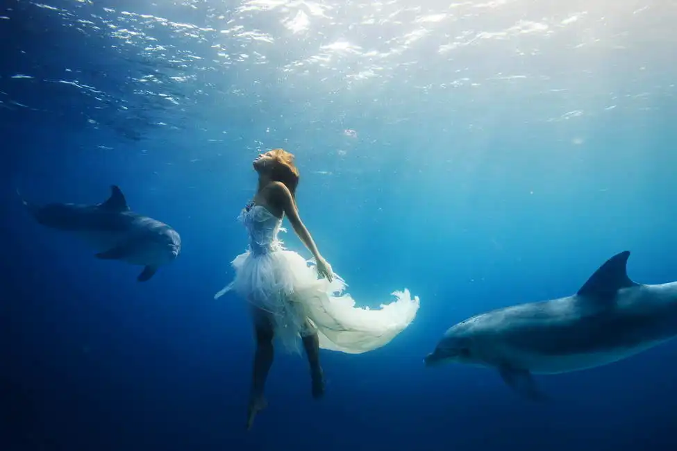 Neznámý: Dívka s delfíny