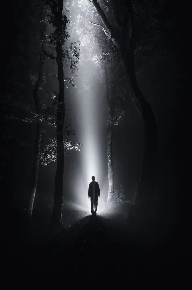 PhotoCosma: Surrealistický les v noci