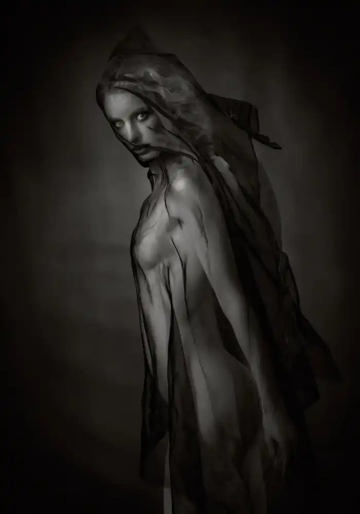 Studio, Catchlight: Transparentes Schwarz