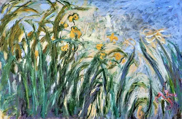 Monet, Claude: Žluté a růžové kosatce