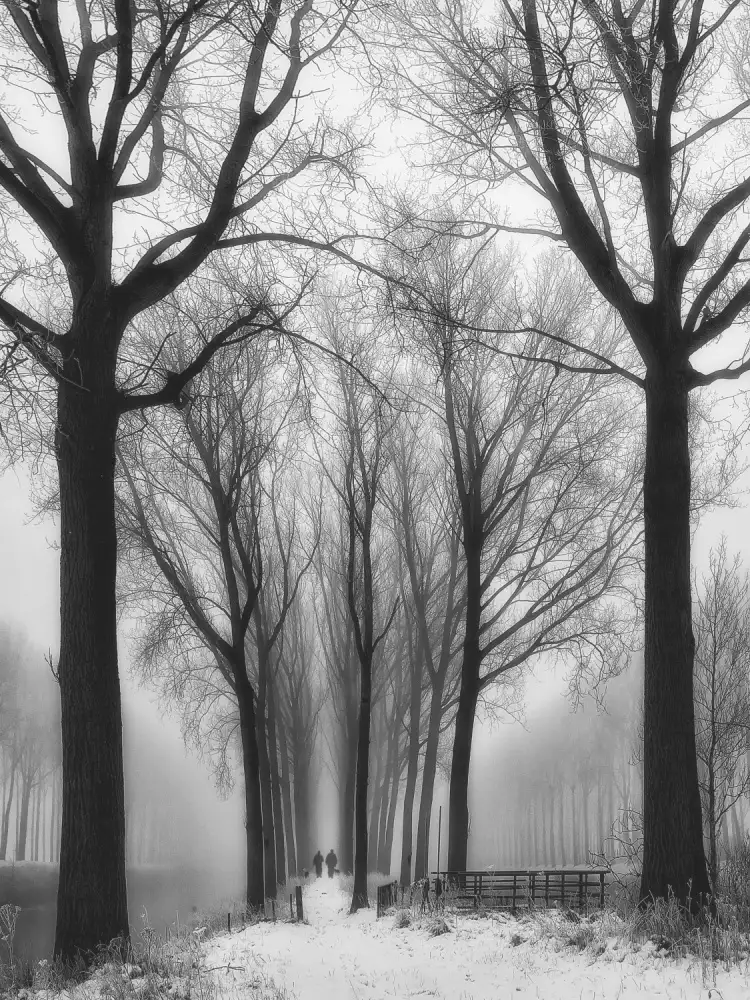 Yvette,,,, Depaepe,,,,: Poi arriva l'inverno