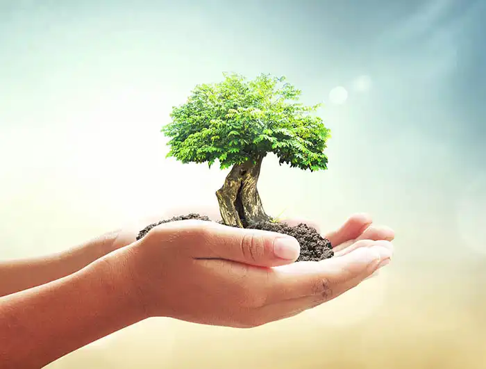 Neznámý: Die Natur in unseren Händen