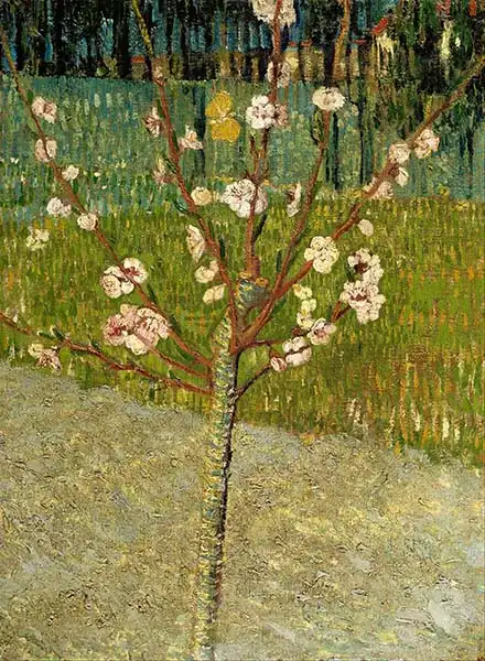 Gogh, Vincent van: Mandlovník v květu