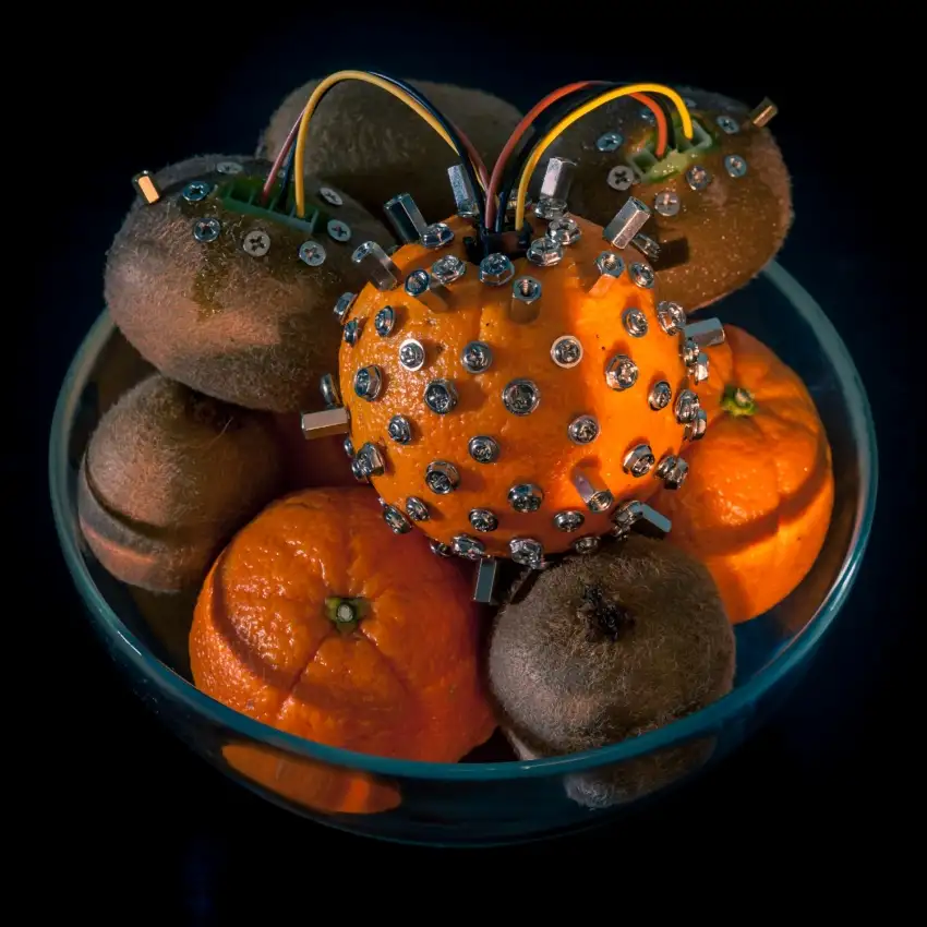 Telésforo, Alexandre Luis: Orange Mutation
