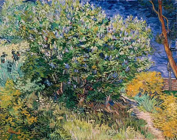 Gogh, Vincent van: Lilac Bush