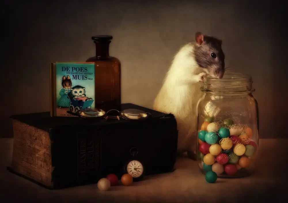 Deelen, van Ellen: Gumballs (Veröffentlicht im neuen 1X-Buch „Memento“.)