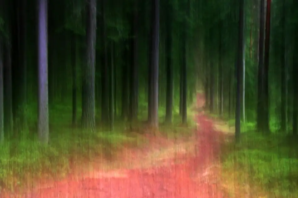 Johansson, Bror: Chemin