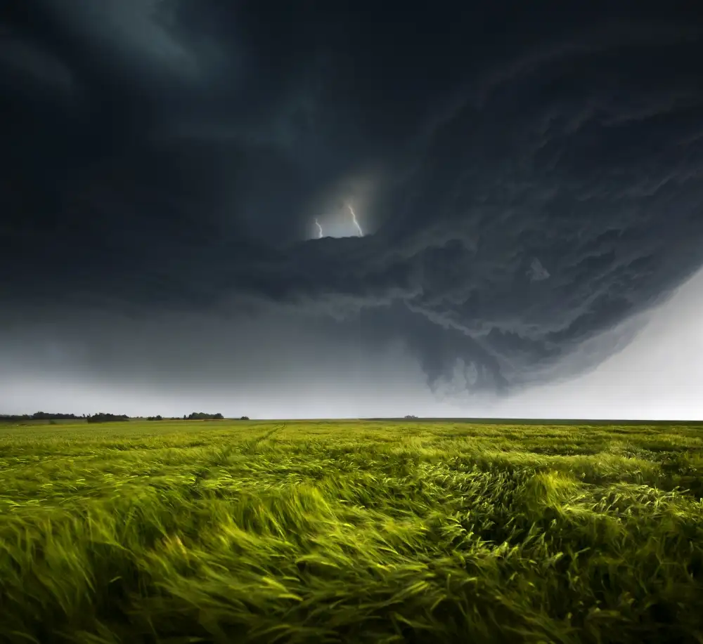 Schumacher, Nicolas: Sommergewitter_02