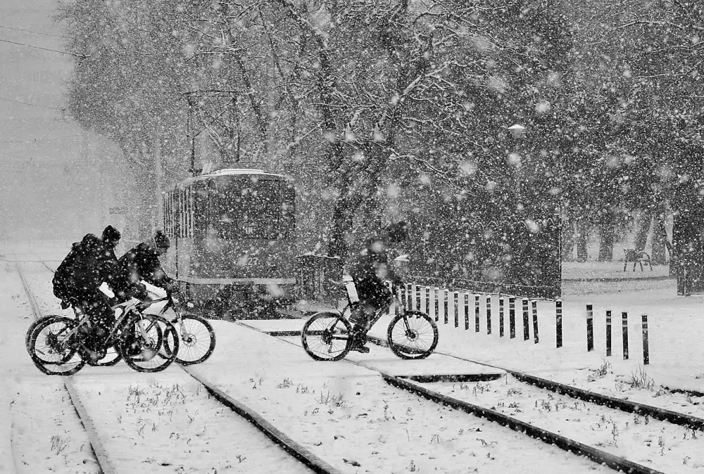 Gabor, Nicoleta: passeggeri invernali