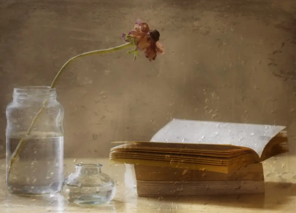 Devos, Delphine: Giornata di lettura
