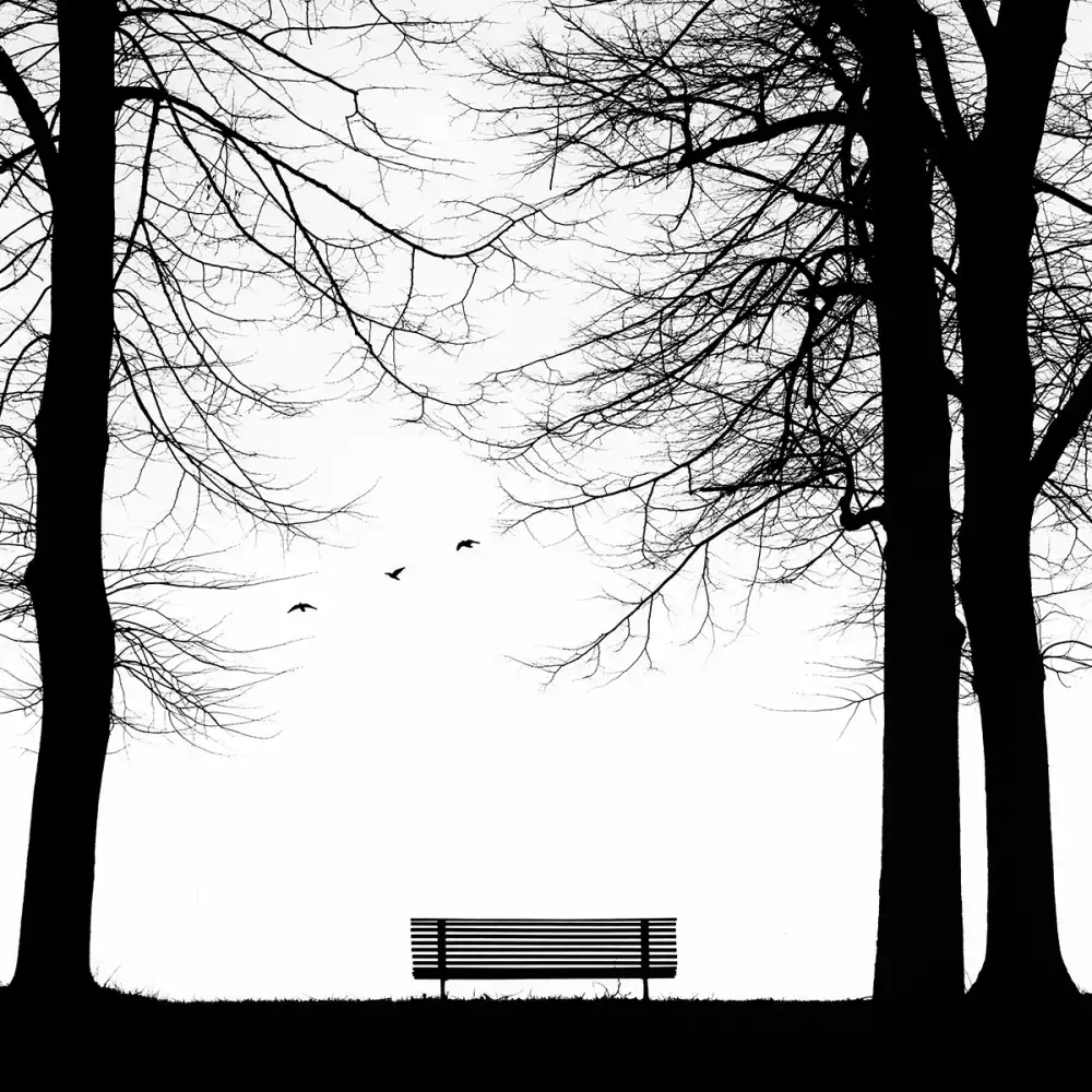 Latta, Della Massimo: Solitudine 4