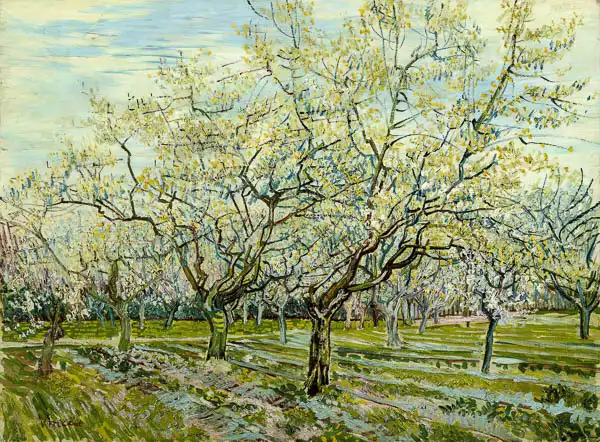 Gogh, Vincent van: The white orchard