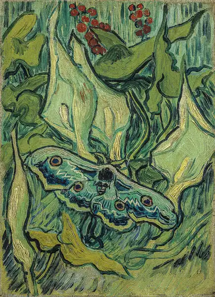 Gogh, Vincent van: Můra