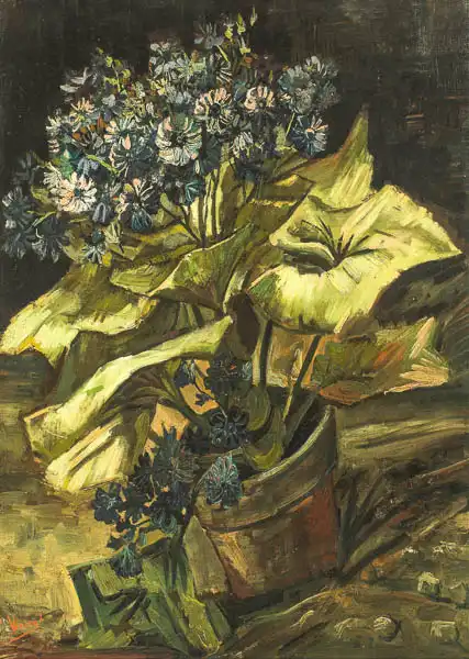 Gogh, Vincent van: Cineraria