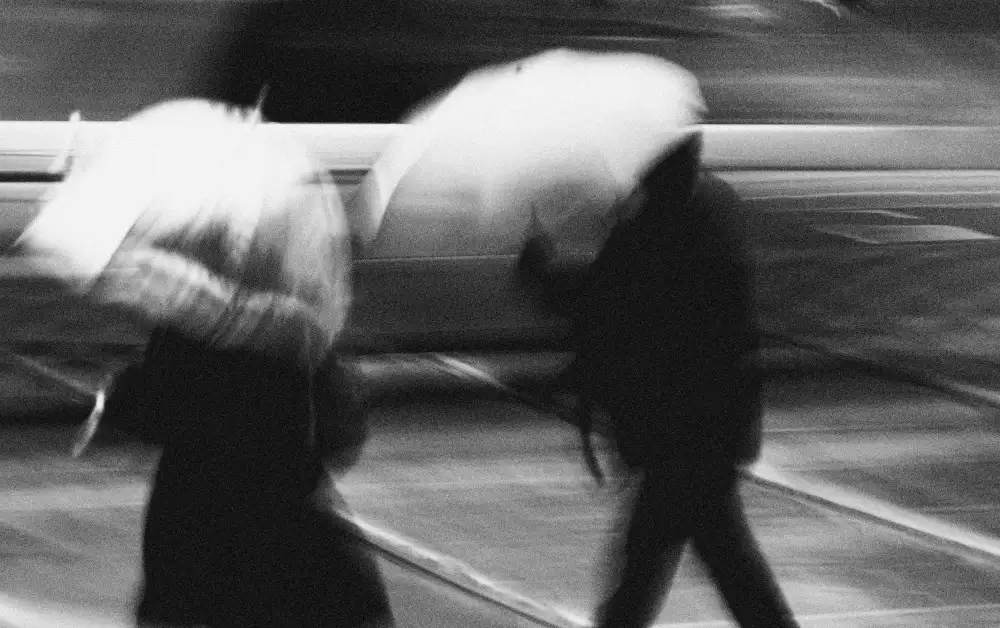 Wang, Jian: Pioggia mattutina