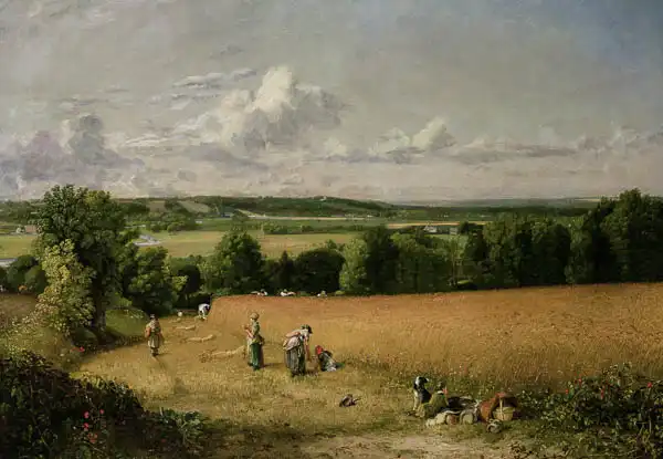 Constable, John: Cornfield