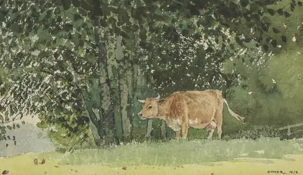 Homer, Winslow: Kráva na pastvě