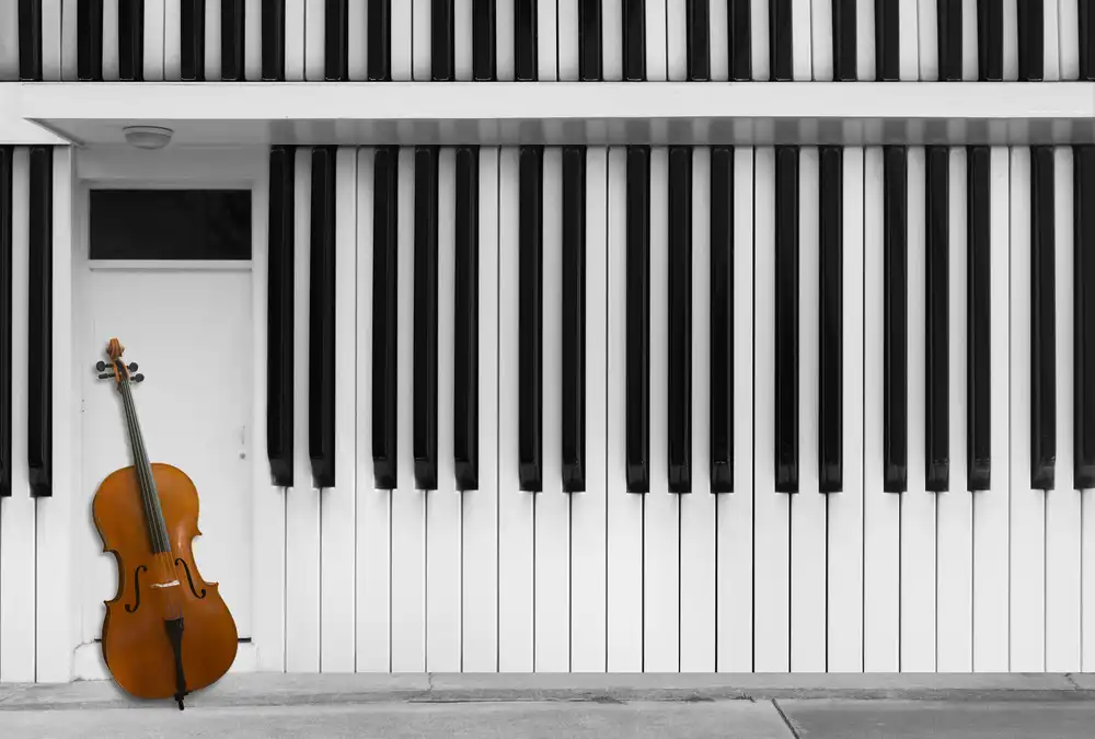 Hammer, Jacqueline: Violoncello alla porta