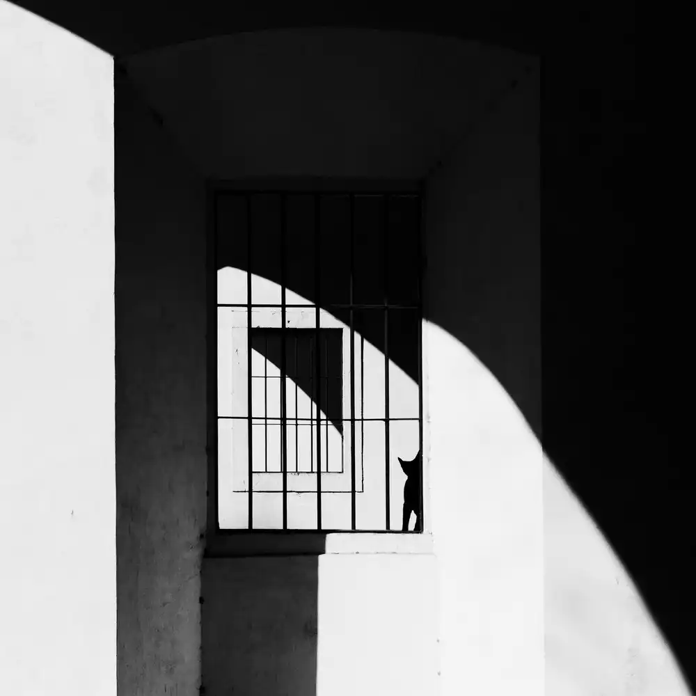 Latta, Della Massimo: El gato Negro