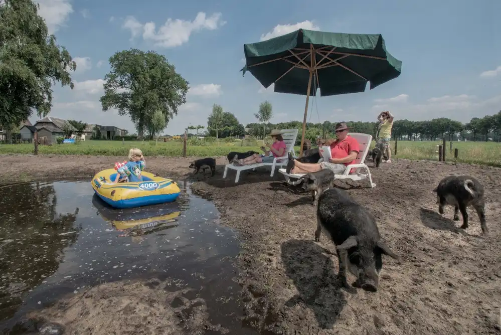 Bosch, den Gert: Urlaub auf dem Schweinefarm
