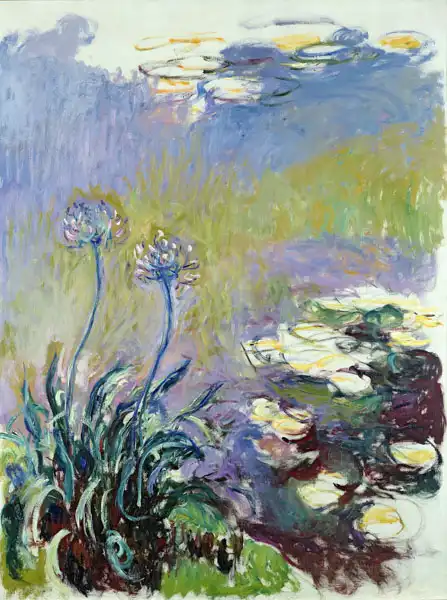 Monet, Claude: Agapanthus