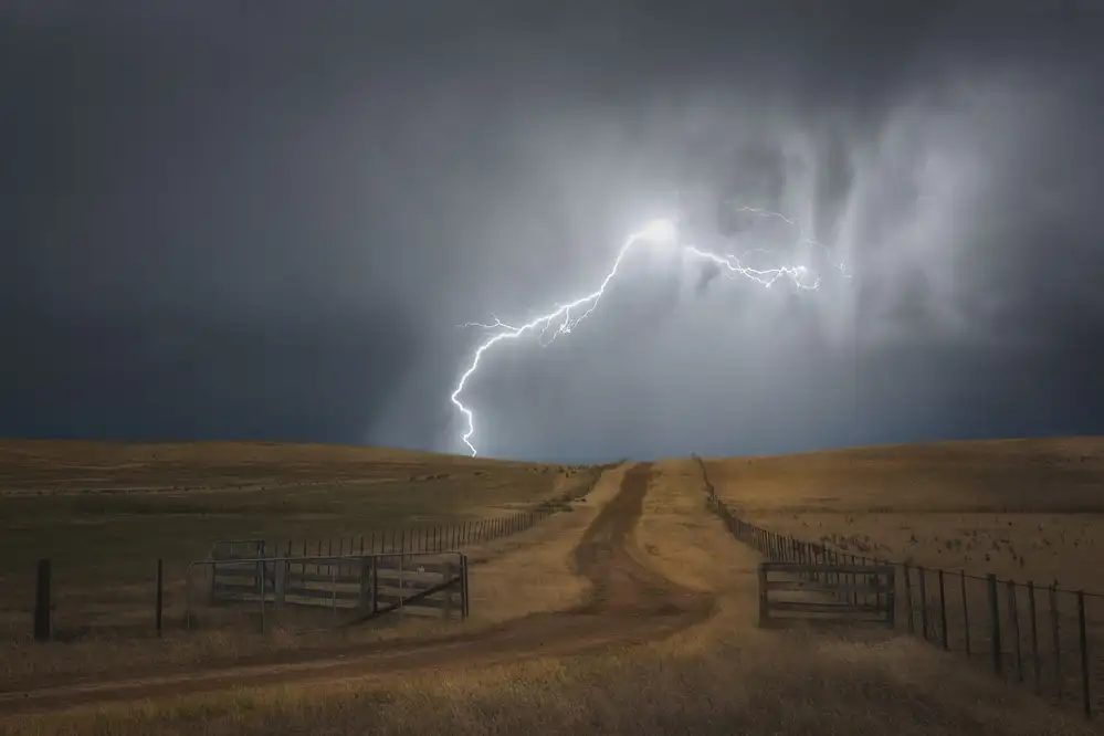 Stephens, Jason: Caos delle Midlands