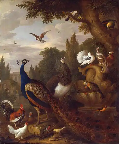 Bogdani or Bogdany, Jakob: Peacock, peahen, parrots, canary, and other birds in a park, c.1708-10