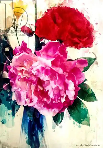 Moonshadow, AlyZe: Pivoine et coquelicot