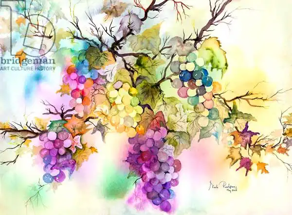 Pushparaj, Neel: Fruit sur la vigne