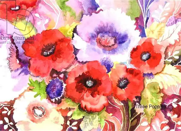 Pushparaj, Neel: Trois coquelicots
