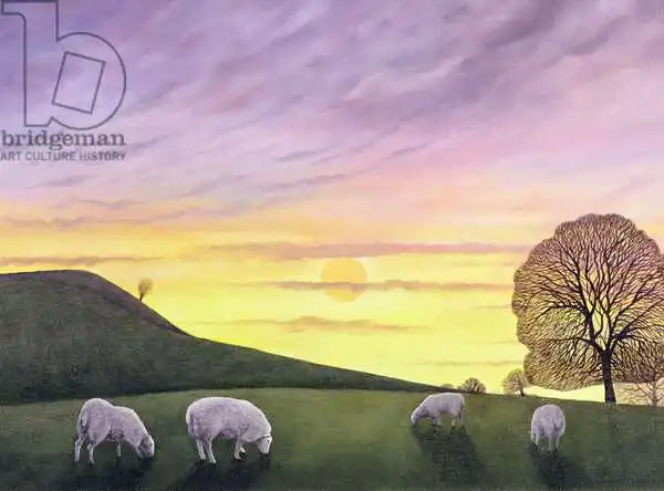 Brain, Ann: Barratt Hill