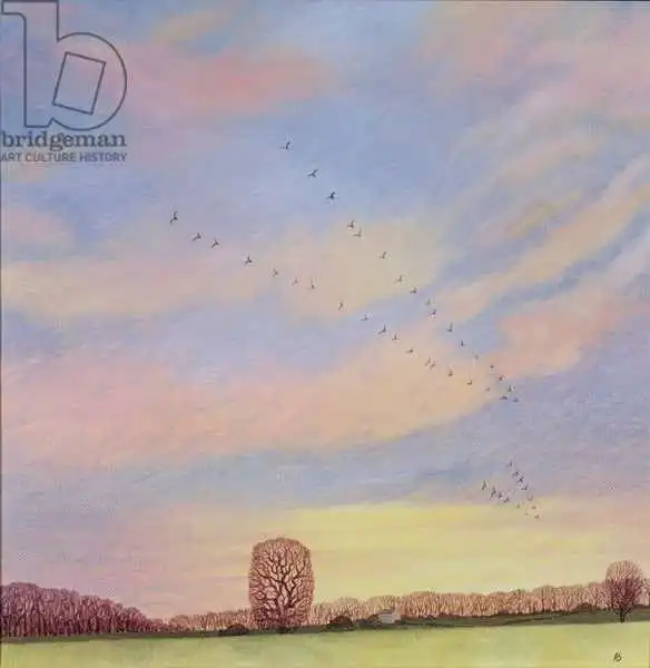 Brain, Ann: Homeward