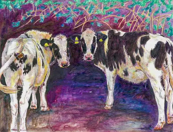 White, Hele: Des vaches abritant