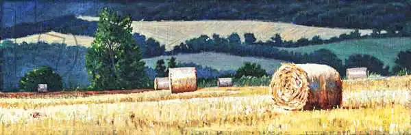 White, Hele: Haybales auf Hang