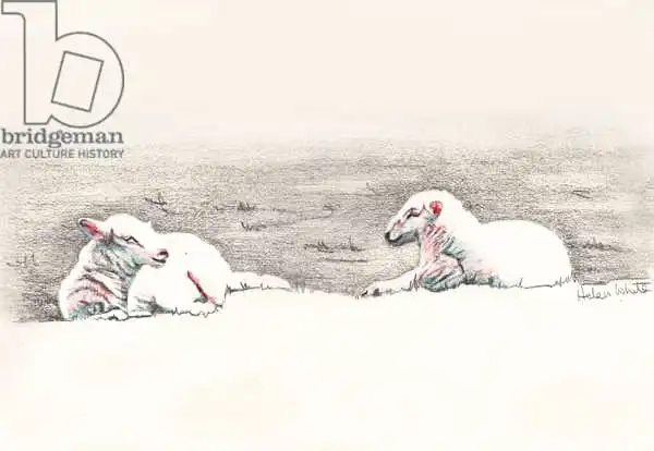 White, Hele: Napping