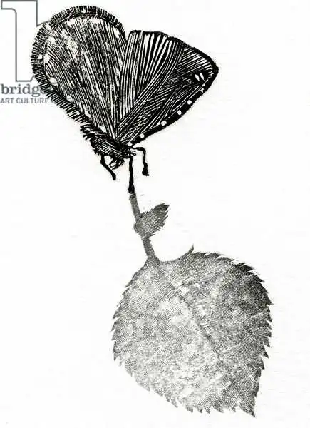 Larsson, Carl: Desconocido
