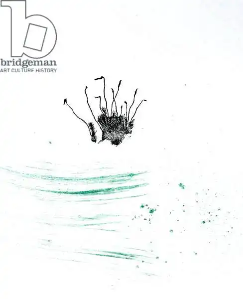 Larsson, Carl: Musgo {Polvo de Fay-erie}