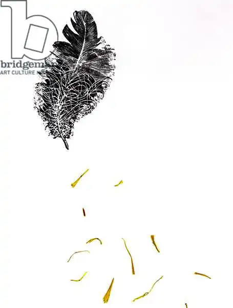 Larsson, Carl: Pluma {Fay-erie Dust}