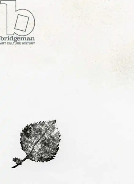 Larsson, Carl: Leaf {Fay-Erie Dust}